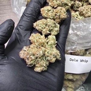 AAA Indoor Flower – Dole Whip (Bigs)