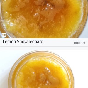 Lemon Snow Leopard – Live Resin