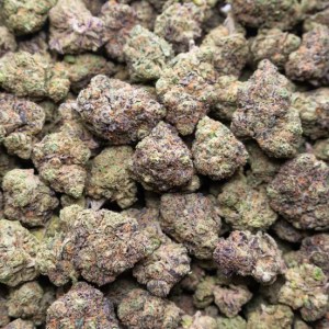 AAA Indoor Flower – Black Cherry Gelato
