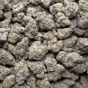 Blue Zushi – AAA Mixed Light THCa Flower