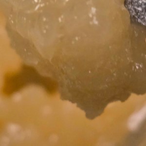 King Louie sugar – Sugar