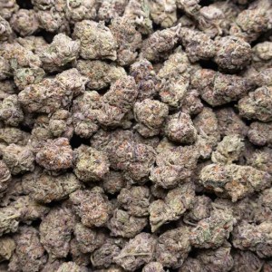 Ice Cream Pie Mixed Light THCa Flower