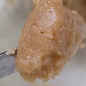 Tier 2 SOCAL Lab – Double Dream