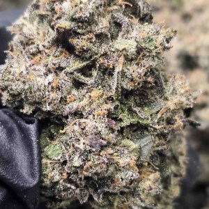 AAA Indoor Flower – Presidential Runtz