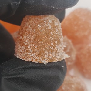 Vegan – Ecto Cooler x NamWah Gummies ( Bulk )