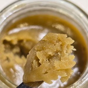 OC Tier 1 Pheno – Wifi OG x GMO x Forbidden Blueprint ( Batch 3 )