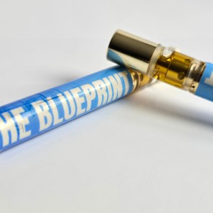 Half Gram Live Rosin Disposable – The Blueprint (Single)