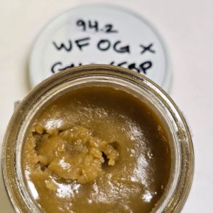 OC Tier 1 Pheno – Wifi OG x GMO x Forbidden Blueprint ( Batch 3 )