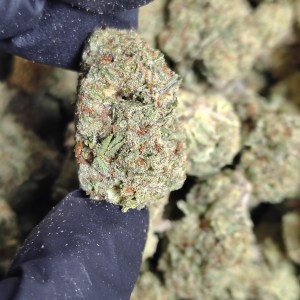 Mixed Light – Gas Tank x Illuminati