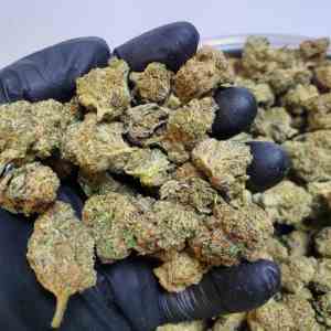 Mixed Light Flower – Truffle Popz