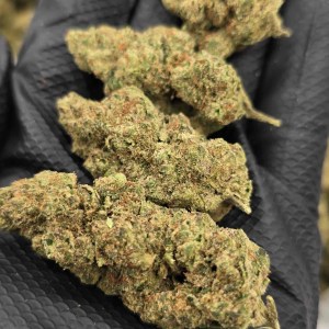Blue Caviar – Mixed Light Flower