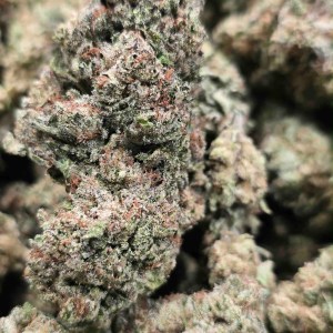 Mixed Light – Citrus Certz