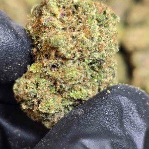 AAA Mixed Light Flower( Medium x Small mix ) – Secret Sauce