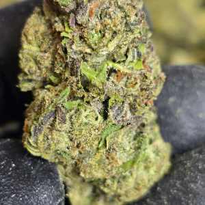 AAA Mixed Light – Double Runtz