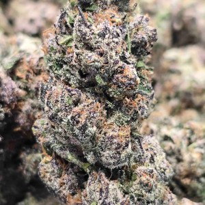 AAA Indoor – Purple Pixie Dust