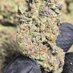 Fresh Deps – Biscotti Cream