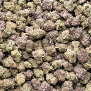 A Grade Indoor ( Smalls ) THCa Flower – Black Ice