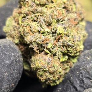 Greenhouse THCa Flower – LCG x Sherbet ( Final Unit )