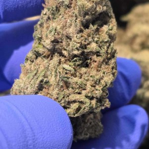 Mixed Light THCa Flower – Cheetah Piss ( Partial Lot )