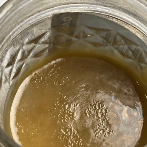 Tier 2 Rosin – Madd Peach x Forbidden Blueprint