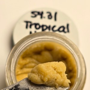 Tier 1 Rosin – Tropical Haven