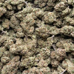 Mixed Light ( Bigs ) THCa Flower – Blue Nerdz